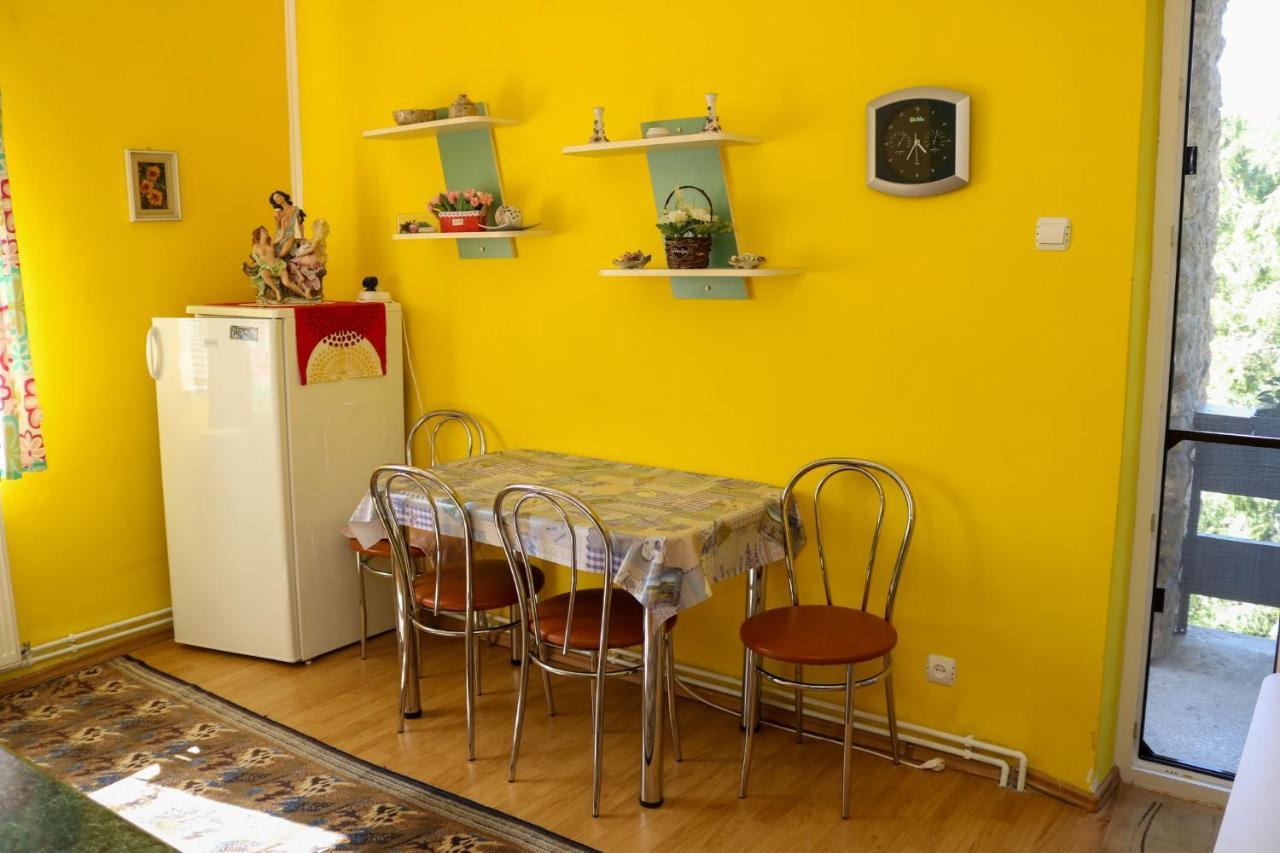 Apartament Iulia Geoagiu Băi Buitenkant foto