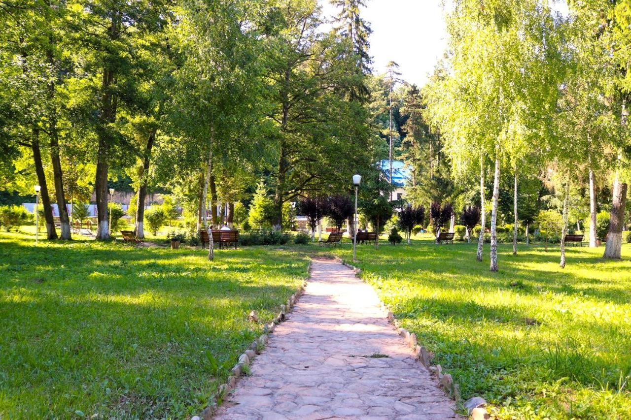 Apartament Iulia Geoagiu Băi Buitenkant foto