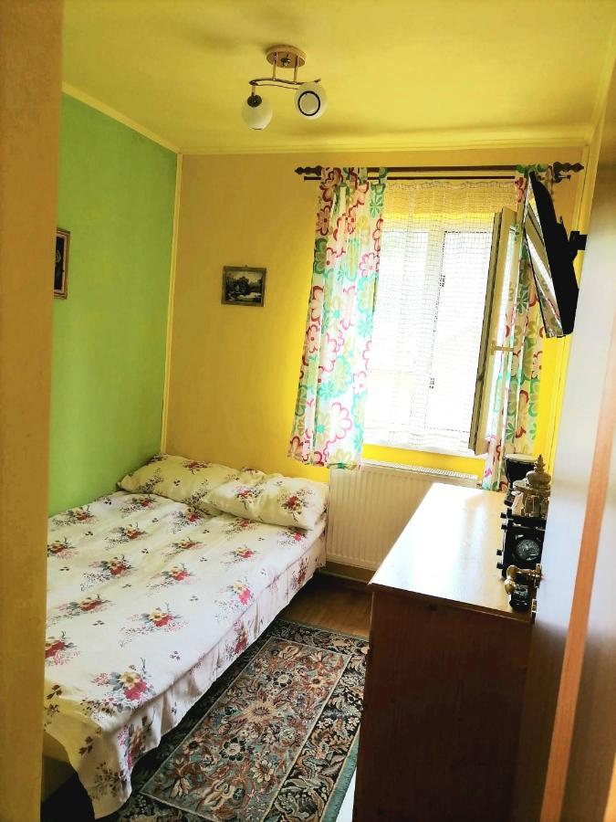 Apartament Iulia Geoagiu Băi Buitenkant foto